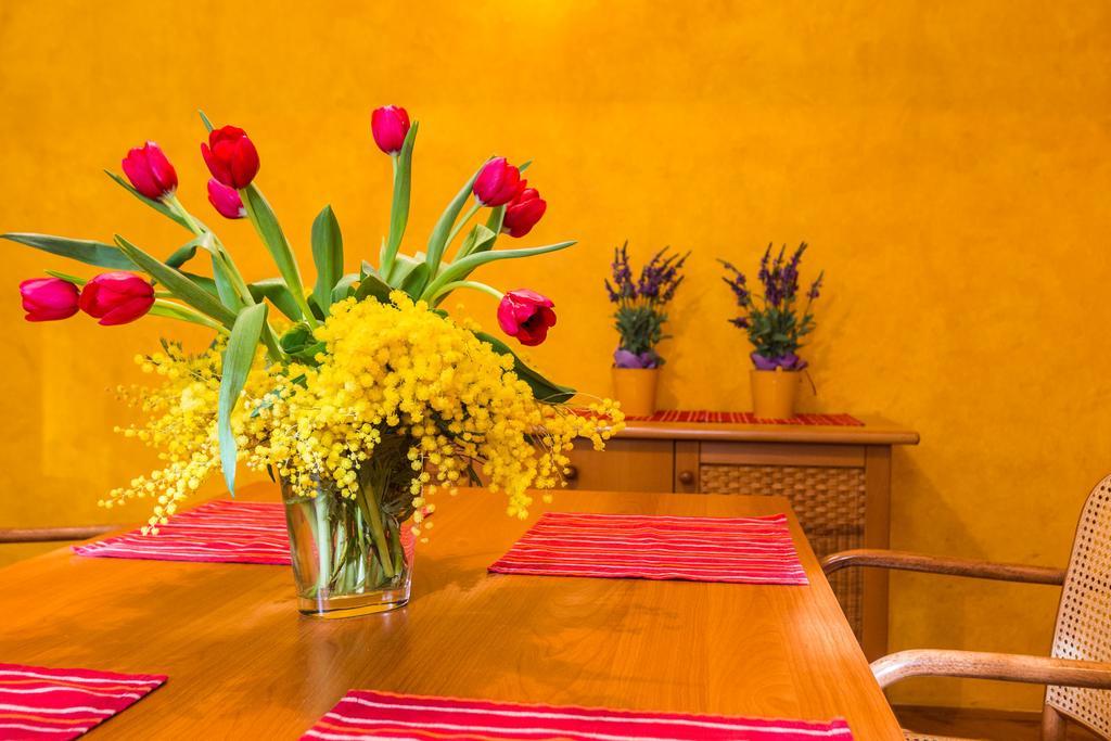 Lavender Apt. W. Balcony In Old Town Zadar Rom bilde